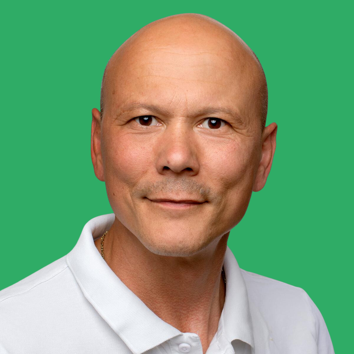 Dominik Havekost